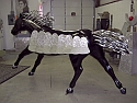 horse sculpture , horse sculpture